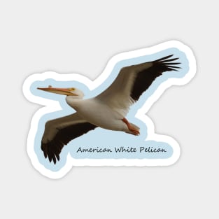 America White Pelican Magnet