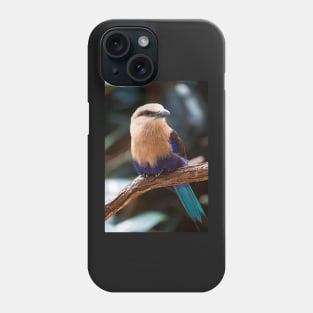 Blue-Bellied Roller Phone Case