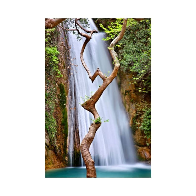 The dancing tree in Neda canyon by Cretense72