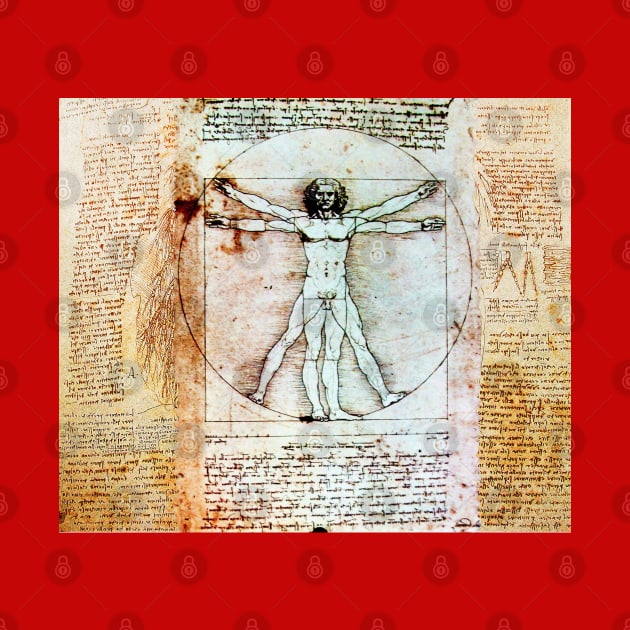 VITRUVIAN MAN Handwriting of Leonardo Da Vinci Antique Parchment by BulganLumini