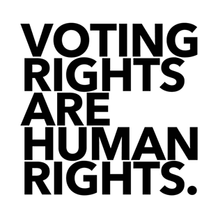 Voting Rights are Human Rights (black 1) T-Shirt