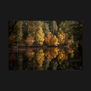 'Autumn Magic', Loch Dunmore, Pitlochry T-Shirt