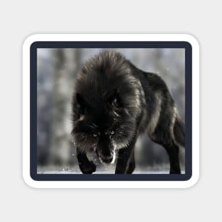 Black Wolf Magnet