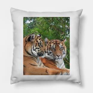 Sumatran Tigers Pillow