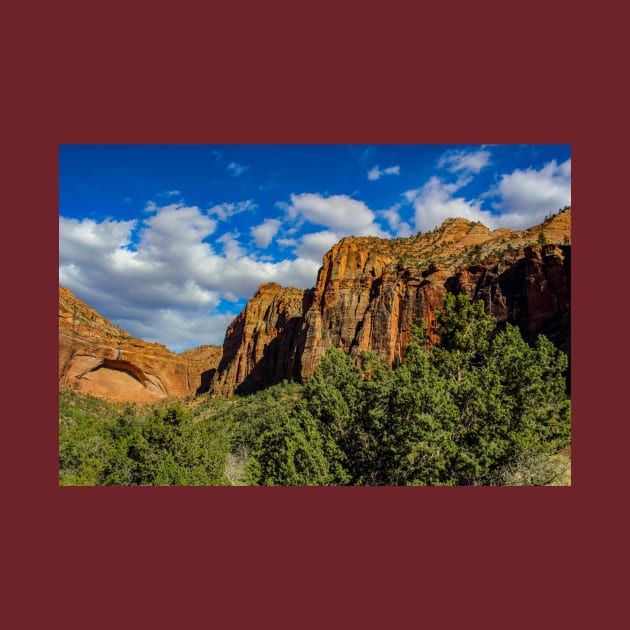 Zion National Park by Rob Johnson Photography