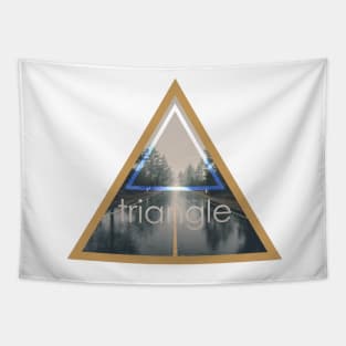 Triangle Tapestry