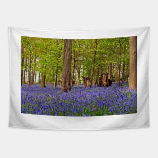 Bluebell Woods Greys Court Oxfordshire UK Tapestry