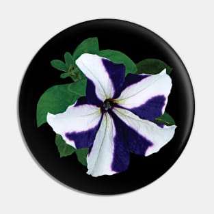 Petunias - One Purple and White Petunia Pin