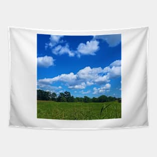 Clouds Blue Sky Green Landscape Tapestry