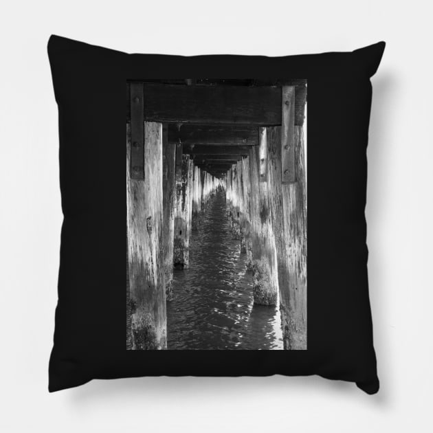 Under the Pier, Cape Henlopen State Park - Lewes, DE Pillow by searchlight