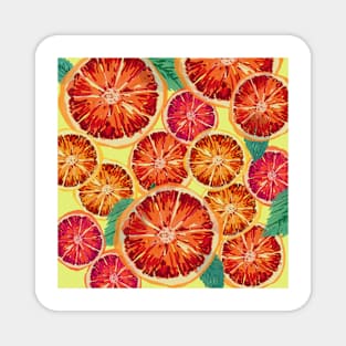 Mediterranean oranges VIII Magnet