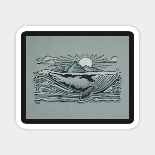 Gray whale illustration Magnet