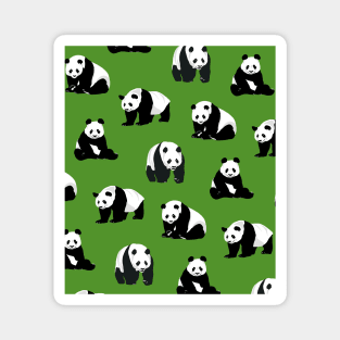 Panda Poses on Green Magnet