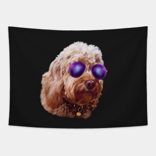 Cool Cute Cavapoo Cavoodle puppy dog Face with sunglasses  - cavalier king charles spaniel poodle, puppy love Tapestry