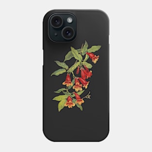 Crossvine - Bignonia capreolata - botanical illustration Phone Case