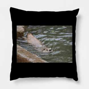 River Otter Pillow