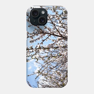 Branches with Tiny Pink Flowers Photograph Phone Case