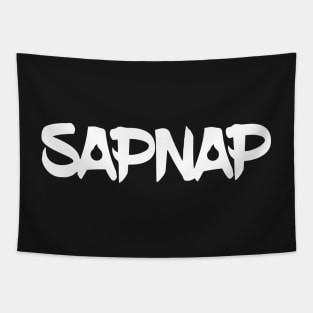 Sapnap Merch Sapnap Logo Tapestry
