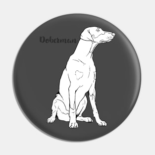 Doberman – rasa psa Pin