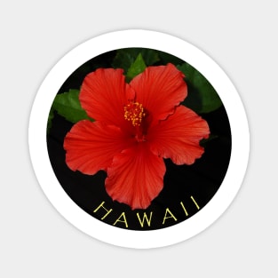 Hawaii Hibiscus Blooming Magnet