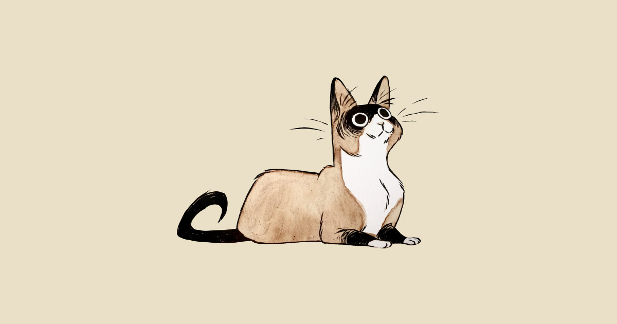 Snowshoe Cat TShirt TeePublic