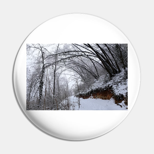 It's snowing in the woods Pin by annalisa56