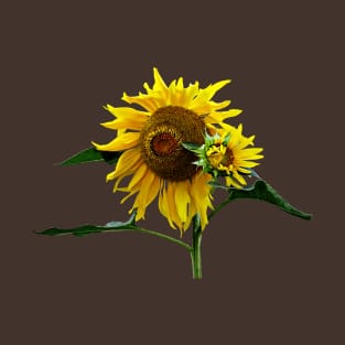 Sunflowers - Sunflower And Baby T-Shirt