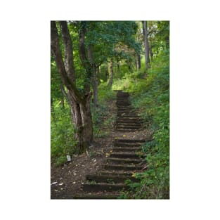 Old stairs in the forest T-Shirt