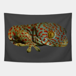 Tokay Gecko Tapestry