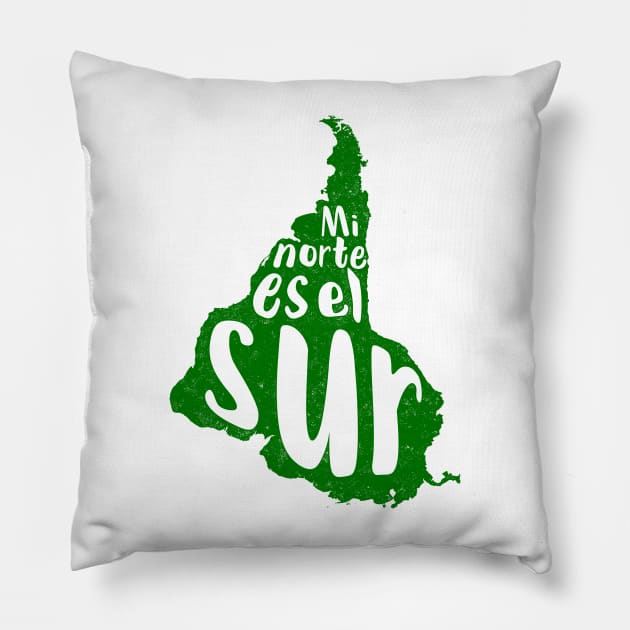 Mi Norte es el Sur South America Map Pillow by gabyshiny