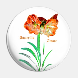 Amaryllis Amore Pin