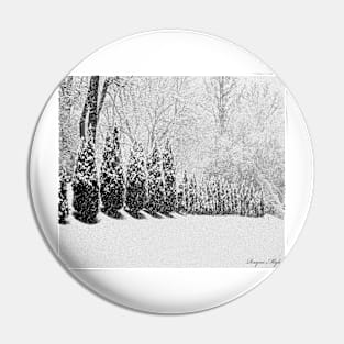 Snow Storm Pin