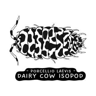 Porcellio Laevis, Dairy Cow Isopod T-Shirt