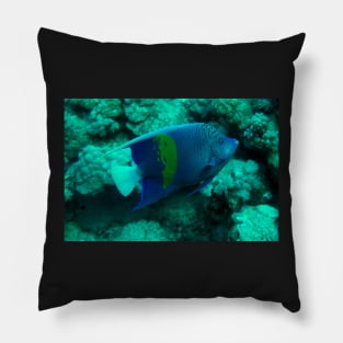 angel fish Pillow