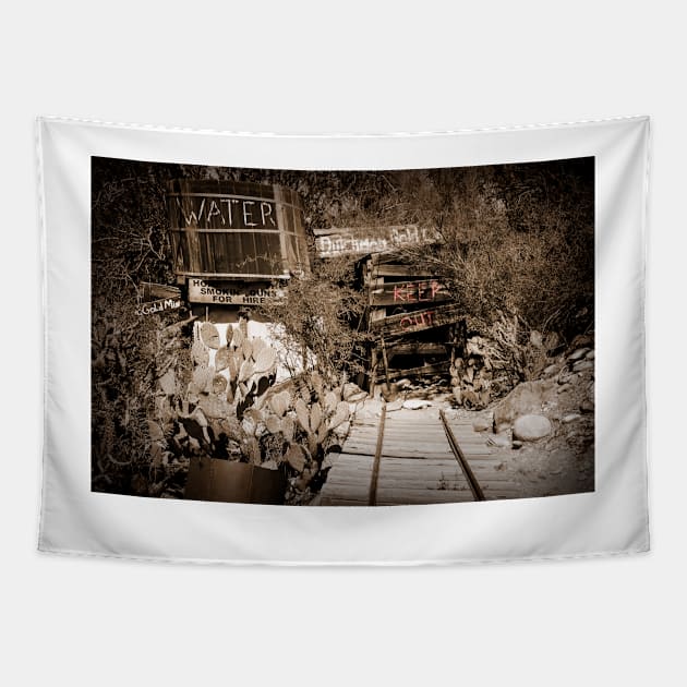 Old Mining Tracks Tapestry by KirtTisdale