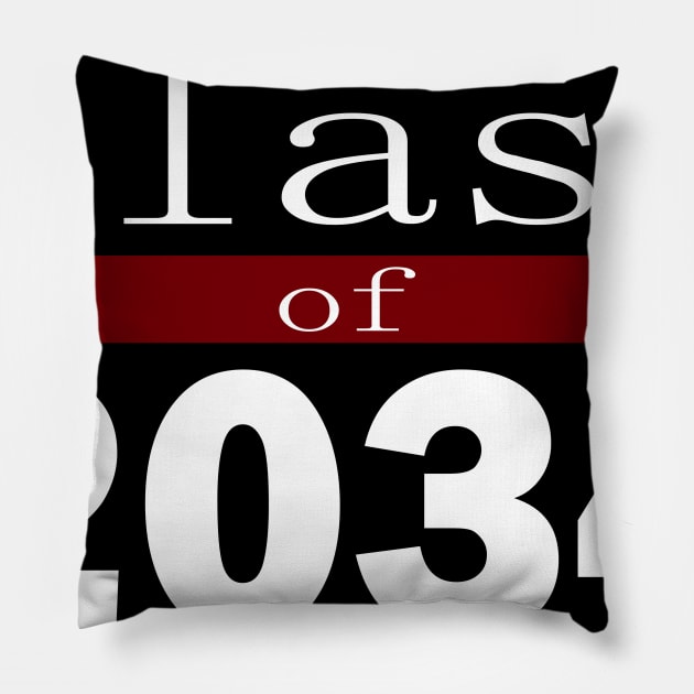 Class of 2034 Pillow by ilrokery