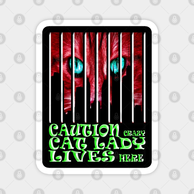 Caution Crazy Cat Lady Lives Here Red Color Magnet by vnteees1