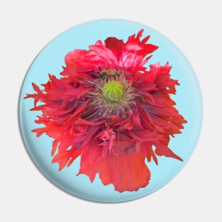 Peony Poppy with Bee Pin