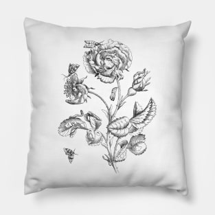 Rose Flower & Insects Antique Illustration Pillow