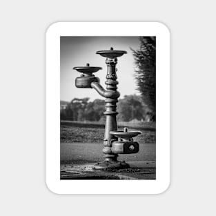 Classic Water Fountain 2 Magnet