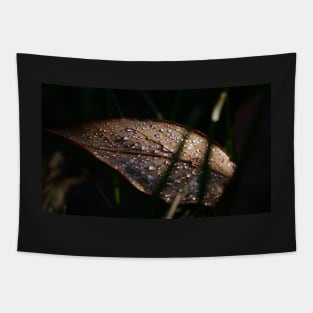 Water Droplets on a Leaf Tapestry