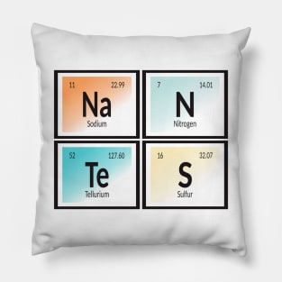 Nantes City of Elements Pillow