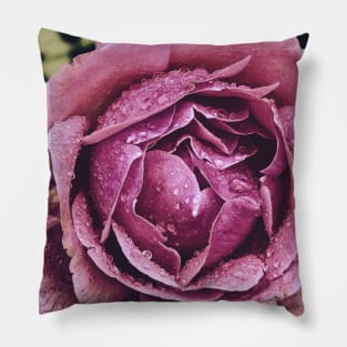 Pink rose Pillow