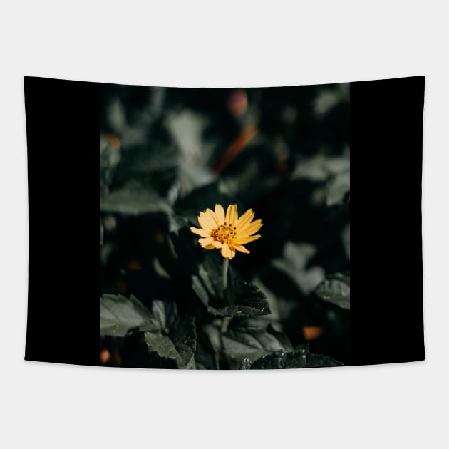 A Small Sunflower Tapestry by TANSHAMAYA