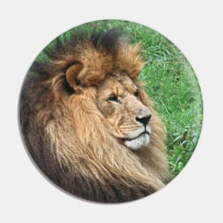 Lion 001 Pin