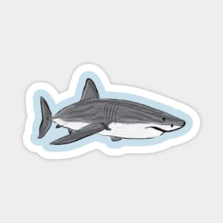 Artwork of a Great White Shark I Magnet
