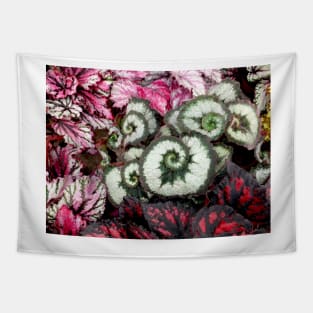 Begonia Escargot Tapestry