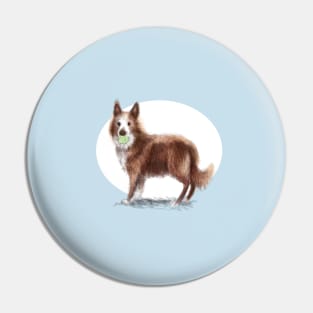 Collie Dog Pin