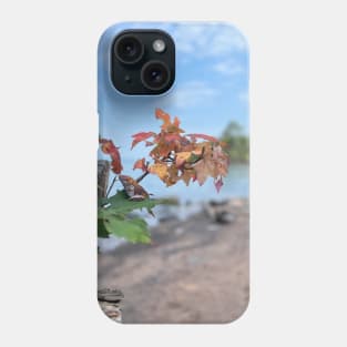 Changing of the seasons on the shores of Lake Superior Phone Case