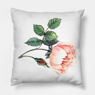 Watercolor rose Pillow